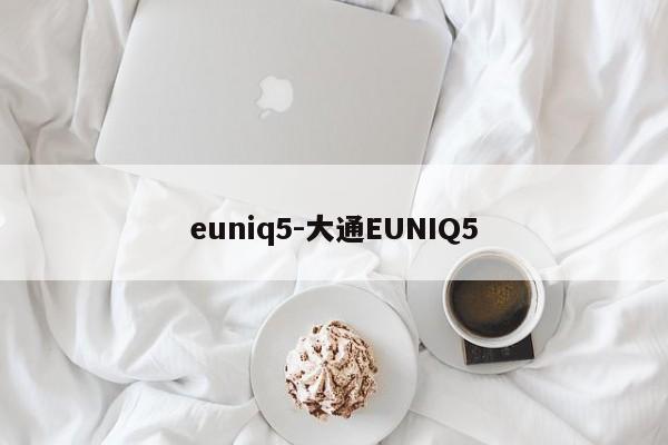 euniq5-大通EUNIQ5