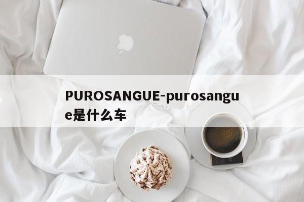 PUROSANGUE-purosangue是什么车